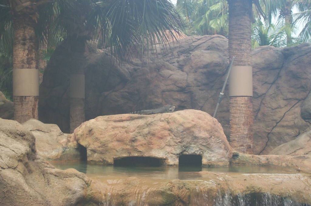 2003 Aruba